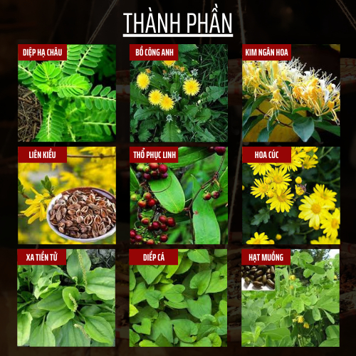 Đông y gia truyền Đông Cát - Hoàn tán thải độc da - Túi 500 hoàn