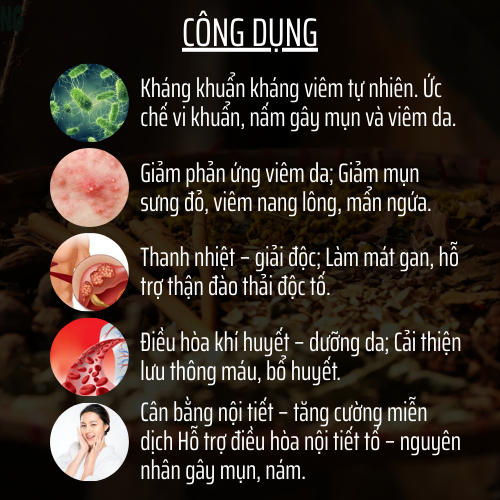 Đông y gia truyền Đông Cát - Hoàn tán thải độc da - Túi 500 hoàn