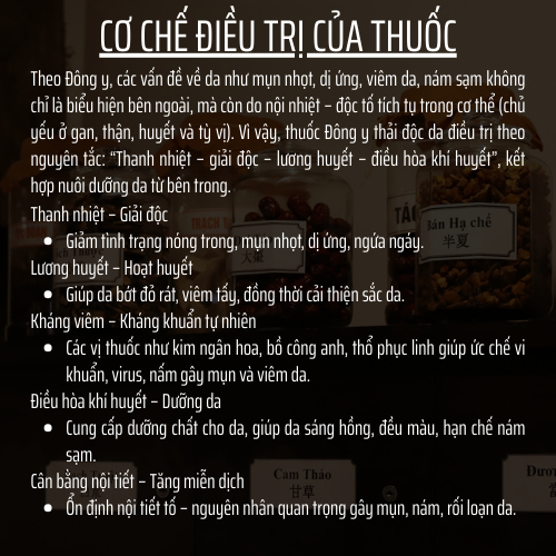 Đông y gia truyền Đông Cát - Hoàn tán thải độc da - Túi 500 hoàn