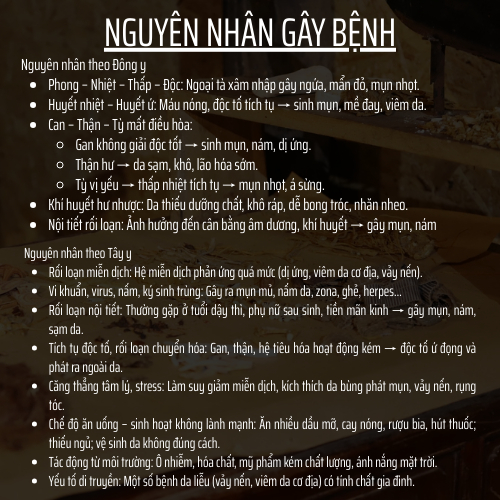 Đông y gia truyền Đông Cát - Hoàn tán thải độc da - Túi 500 hoàn
