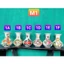 Bình Hoa Gốm Sứ Cao Cấp Vuốt Tay - Vẽ Chim/Hoa Bằng Tay Thủ Công Sắc Sảo - Men Tiêu/Men Trổ Độc Đáo