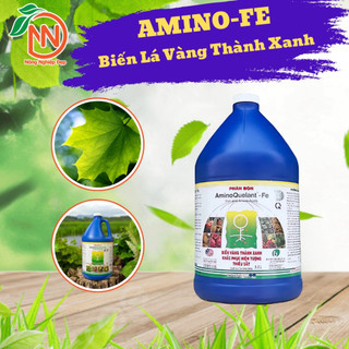 Phân Bón Vi Lượng Sắt - Amino Fe 3,8 Lít - AminoQuelant Fe Gallon - Biến Lá Vàng Thành Xanh