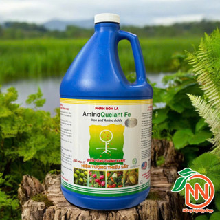 Phân Bón Vi Lượng Sắt - Amino Fe 3,8 Lít - AminoQuelant Fe Gallon - Biến Lá Vàng Thành Xanh