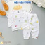 Set 2/3 Bộ Dài Tay Trắng Thun Petit In hoạ tiết mềm mịn cho bé trai bé gái 3-13kg MV-DL20 Đậu Đậu Store