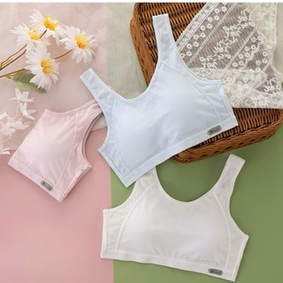 COMBO 3 Áo lót bé gái dậy thì chất cotton thấm hút mồ hôi thông hơi thoáng khí, áo lá nữ học sinh năng động