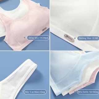 COMBO 3 Áo lót bé gái dậy thì chất cotton thấm hút mồ hôi thông hơi thoáng khí, áo lá nữ học sinh năng động