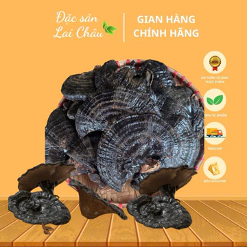 Cây Nấm Hắc Chi Khô Hay Còn Gọi Là Linh Chi Đen Rất Tốt