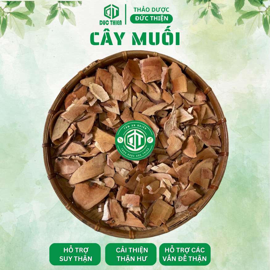 4 Vị Thảo Dược Hỗ Trợ Các Vấn Đề Về Than - Cây Muối, Quýt Gai, Phèn Đen, Cây Nổ(Sâm Tách) - 500g/Vị.