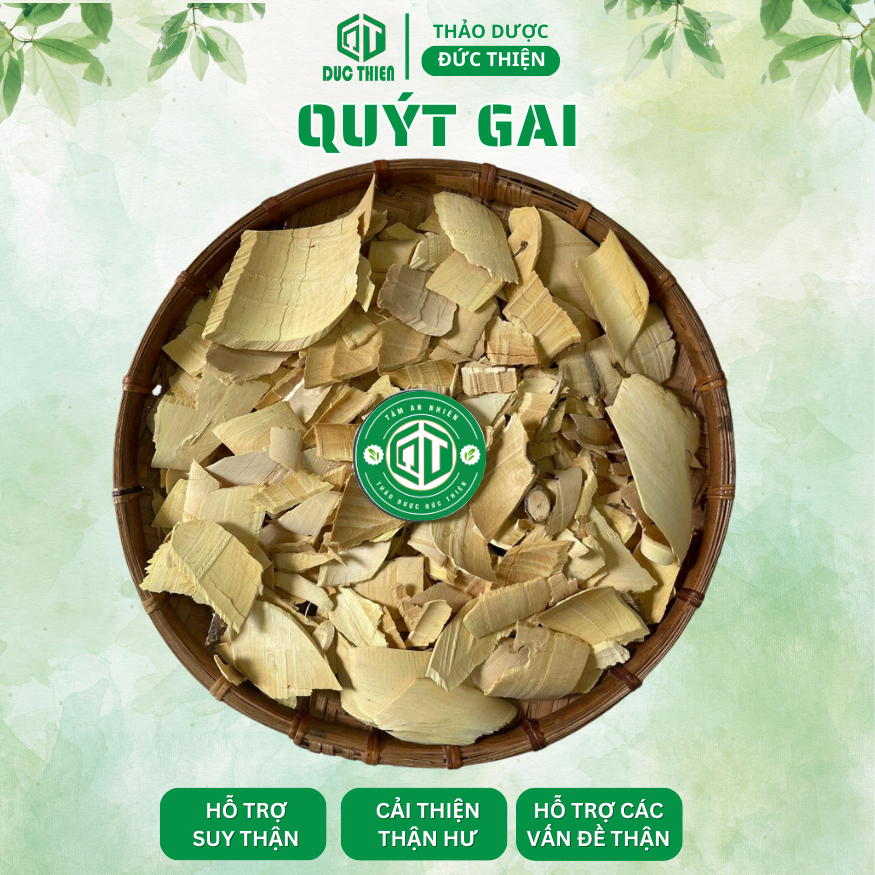 4 Vị Thảo Dược Hỗ Trợ Các Vấn Đề Về Than - Cây Muối, Quýt Gai, Phèn Đen, Cây Nổ(Sâm Tách) - 500g/Vị.