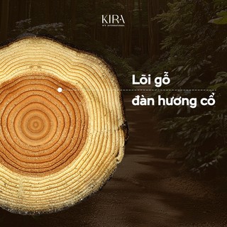 Lược bấm huyệt gỗ đàn hương – Massage đầu, gáy và toàn thân, hỗ trợ lưu thông máu hiệu quả