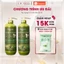 Dầu Gội & Xả Begate 800ml – Thảo Dược Thiên Nhiên Hỗ Trợ Mọc Tóc Sạch Da Đầu Mượt Tóc