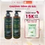 Dầu Gội Thảo Dược Bồ Kết, Vỏ Bưởi Sạch Gàu & Ngăn Ngừa Rụng Tóc Begate 500ml