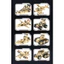 Bộ Đồ Chơi lắp Ráp Xe Tăng Chiến Đấu, Xe Bọc Thép Tank PANZER CORPS Tại BOBO