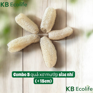 COMBO 5 TRÁI XƠ MƯỚP NHÍ (< 15cm) KB Ecolife mềm mại tạo bọt mịn không hoá chất, dùng đa năng rửa bát hoặc tắm