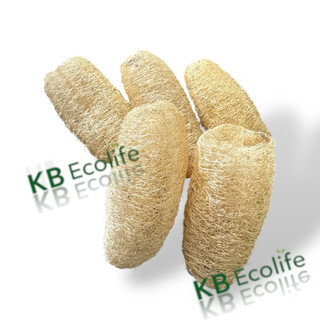 COMBO 5 TRÁI XƠ MƯỚP NHÍ (< 15cm) KB Ecolife mềm mại tạo bọt mịn không hoá chất, dùng đa năng rửa bát hoặc tắm