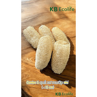COMBO 5 TRÁI XƠ MƯỚP NHÍ (< 15cm) KB Ecolife mềm mại tạo bọt mịn không hoá chất, dùng đa năng rửa bát hoặc tắm