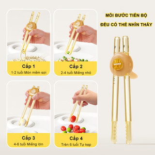 Youkebei đũa tập ăn cho bé 1-6 tuổi đũa cho bé Đũa tập ăn xỏ ngón cho bé tập gắp đũa ăn cơm cute đũa dễ thương đũa cute