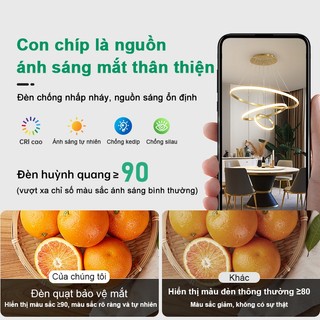 Đèn thả trần phòng khách 3 vòng đèn chùm trang trí đèn ốp trần 3 màu