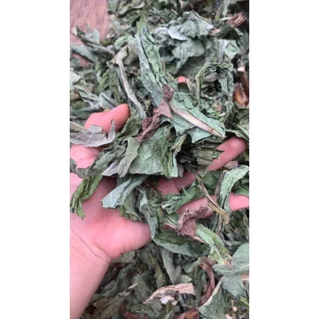 cây bồ công anh 500g -1kg