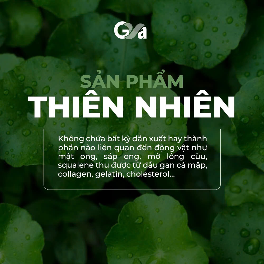 Thiết kế của Sữa Rửa Mặt Chiết Xuất Rau Má