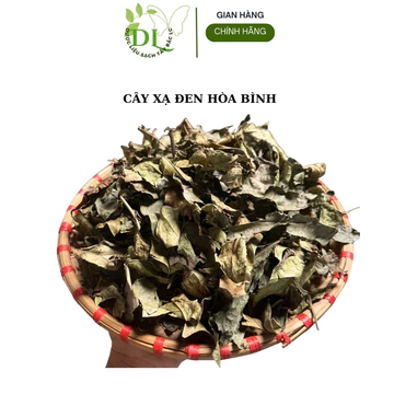 Xạ đen hòa bình, Cây xạ đen hàng nhiều lá cực đẹp giúp mát gan, thanh lọc, giải độc gan, đánh bay gan nhiễm mỡ, sơ gan