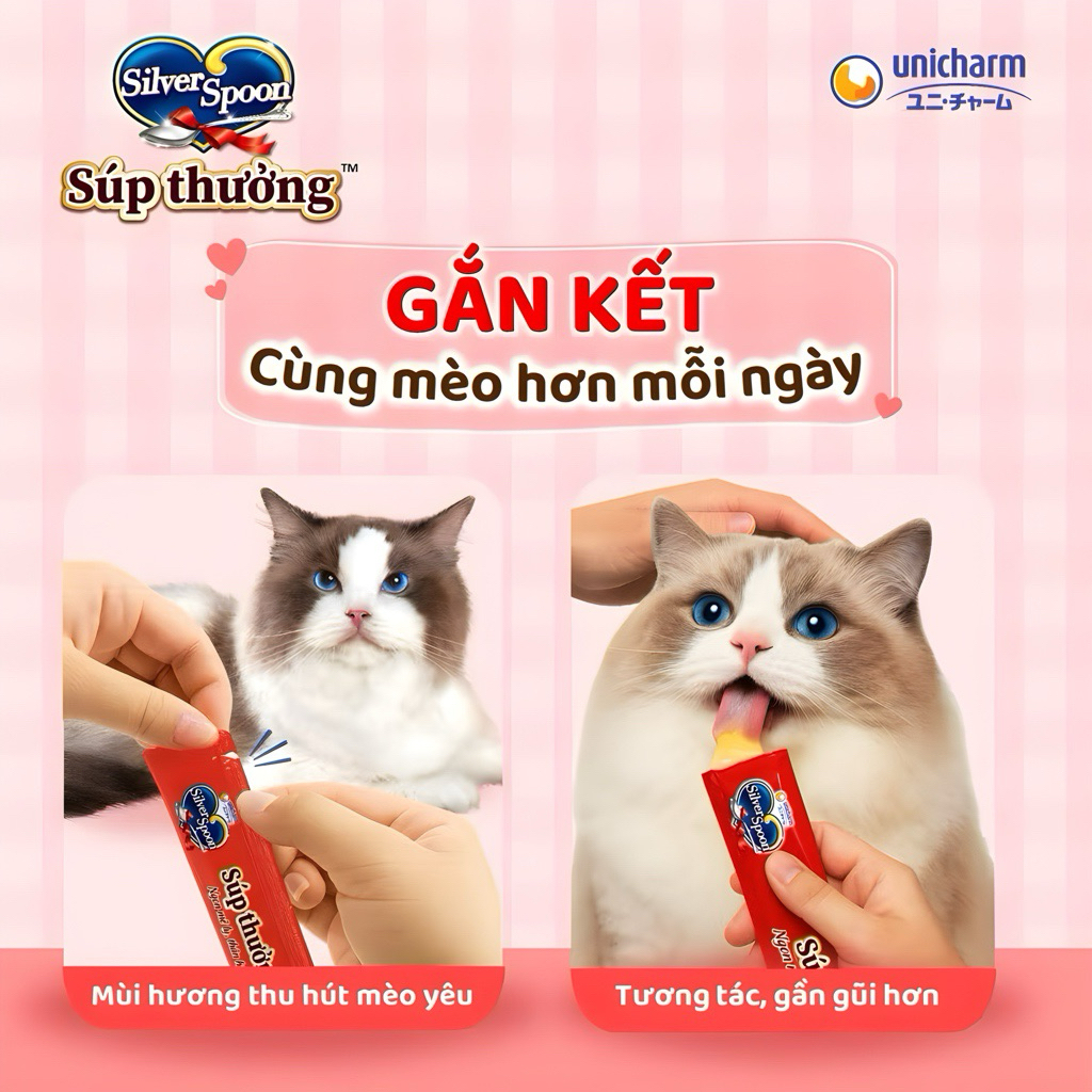 Súp Thưởng Cho Mèo Silver Spoon Ngon Bổ – Gói 4 Thanh Tiện Lợi 56g