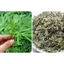 Ngải cứu khô thượng hạng JINDO 1kg tác dụng hỗ trợ tốt cho sức khỏe