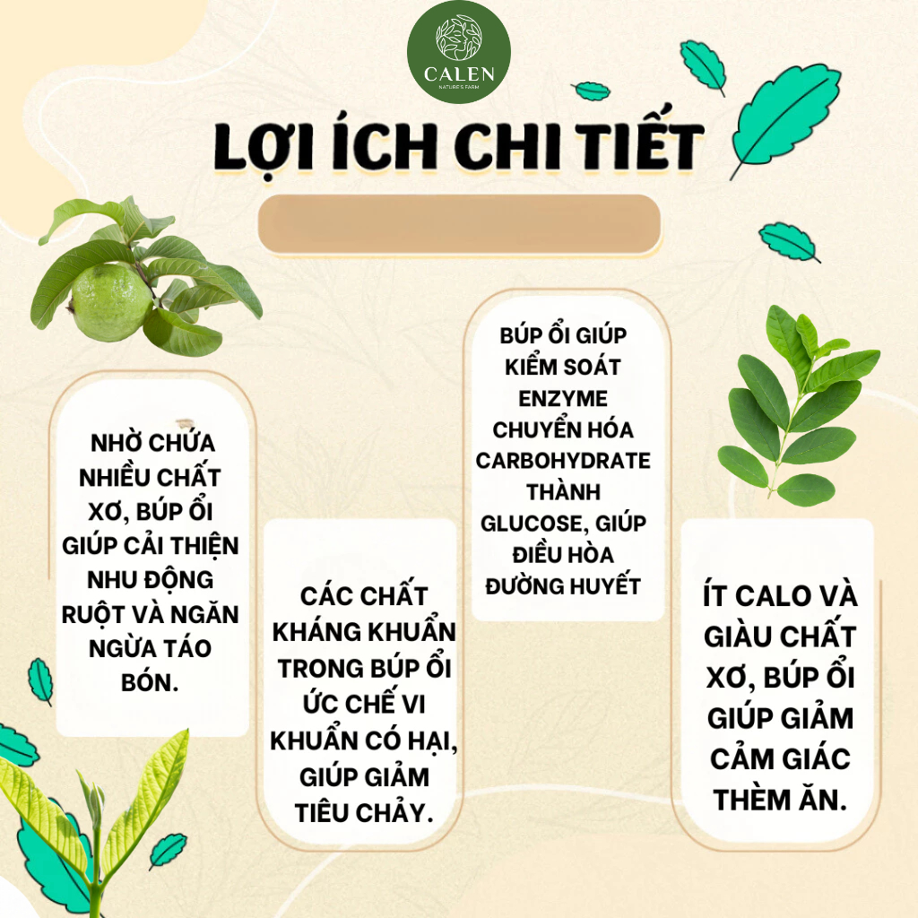 Trà búp ổi lá sen Calen Nature's Farm giúp giảm câ.n, tiêu mỡ nhanh, hỗ trợ dạ dày, đại tràng - bịch 30 lọc