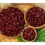 Mứt chùm ruộc , chùm ruột chua ngọt , chùm guộc đặc sản miền tây