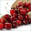 HƯƠNG ANH ĐÀO (CHERRY FR) 5mL 10mL 25mL