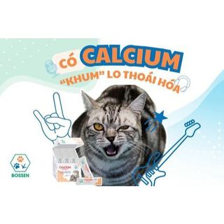 Canxi Cho Mèo Dạng Nước - Bossen Calcium Delight for Cat Bổ Sung Canxi Khoáng Cho Mèo