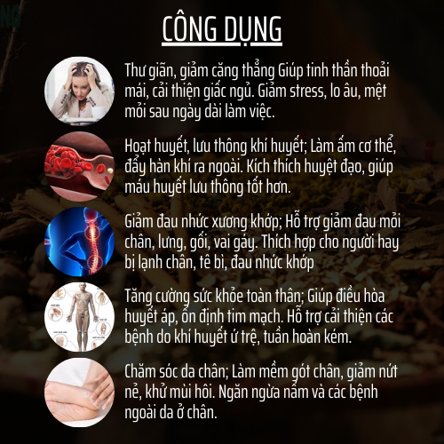 Đông y gia truyền Đông Cát - Túi thảo dược ngâm chân - xương khớp, mất ngủ hôi nấm chân - Túi 20 lọc