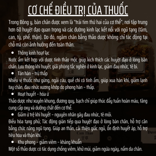 Đông y gia truyền Đông Cát - Túi thảo dược ngâm chân - xương khớp, mất ngủ hôi nấm chân - Túi 20 lọc