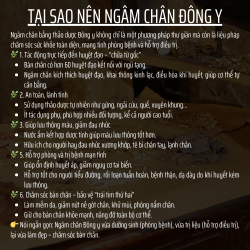 Đông y gia truyền Đông Cát - Túi thảo dược ngâm chân - xương khớp, mất ngủ hôi nấm chân - Túi 20 lọc