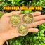 Thỏi Ngựa Thần Tài Mạ Vàng Kèm Túi Gấm Phúc Lộc - làm quà tặng,quà biếu độc lạ và ý nghĩa