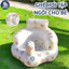 Ghế Hơi Tập Ngồi Cho Bé Cao Cấp GutyKids Tích Hợp Bơm Khí, Chất Liệu Cao Cấp, Chống Trơn Trượt, Dễ Dàng Mang Theo