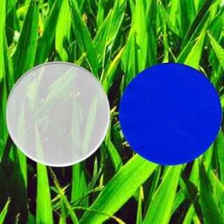 combo 2 mặt kính đổi màu trắng - vàng  - xanh cho đèn đội đầu