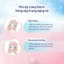 Bộ 6 hộp Bông trang điểm (bông tẩy trang) cao cấp Silcot Premium 66 miếng/hộp