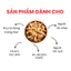 Hạt Điều Không Muối Việt Nam Dan D Pak I Cashews Unsalted I 454g