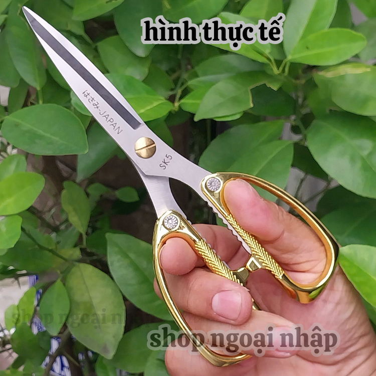 Kéo SK5 Japan kéo cắt thịt,cắt vải, giấy bằng thép trắng không gỉ