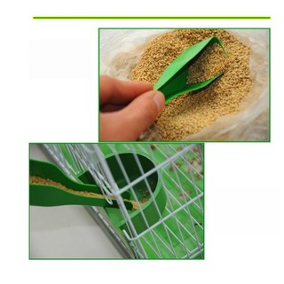 Thìa Xúc Cám Cho Chim Cảnh – Dụng Cụ Cho Ăn Tiện Lợi