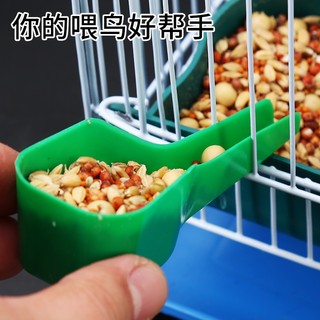 Thìa Xúc Cám Cho Chim Cảnh – Dụng Cụ Cho Ăn Tiện Lợi