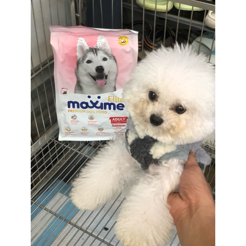 Hạt cho chó Maxime Elite vị cá hồi, hỗ trợ tiêu hóa, chăm sóc da lông cho chó trưởng thành gói 1,5KG