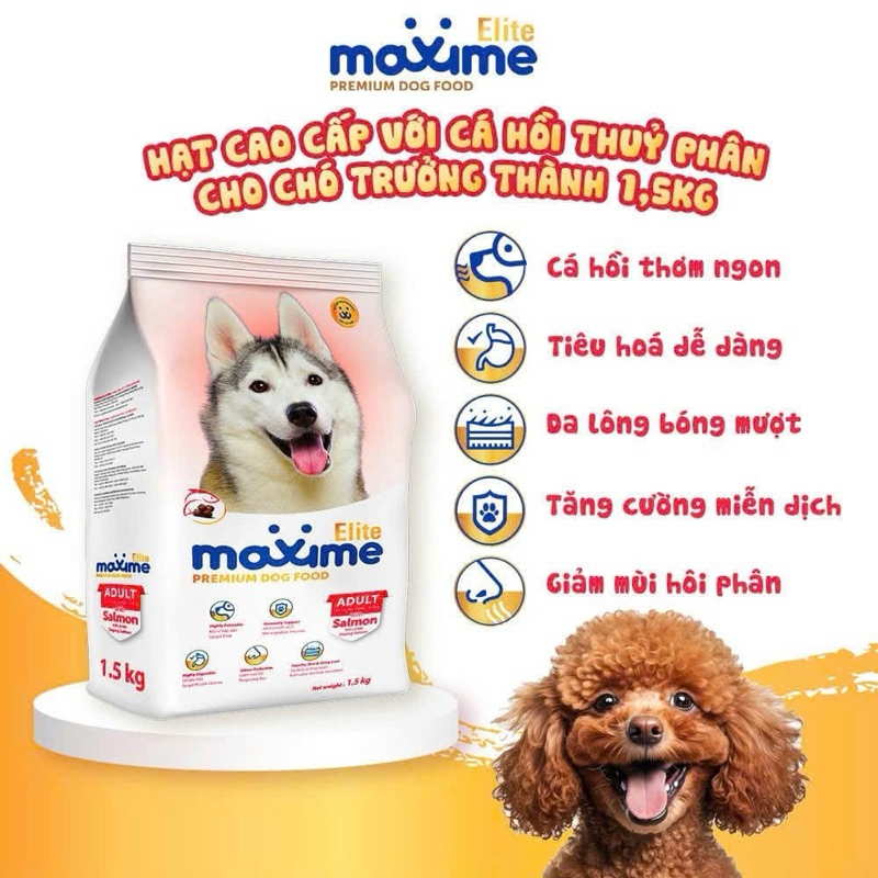 Hạt cho chó Maxime Elite vị cá hồi, hỗ trợ tiêu hóa, chăm sóc da lông cho chó trưởng thành gói 1,5KG