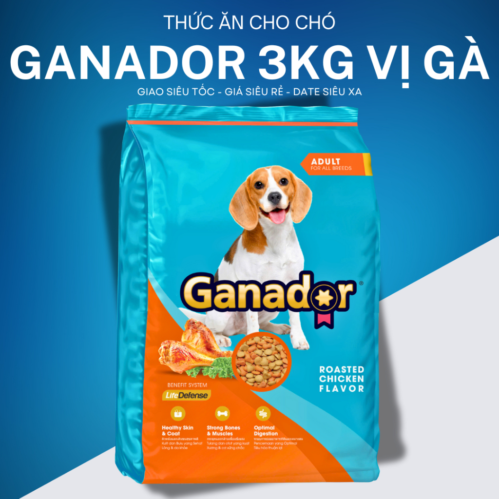 Thức Ăn Hạt Cho Chó Trưởng Thành Ganador Vị Bò Nướng Gói 3kg Hỗ Trợ Xương Chắc Khỏe, Dưỡng Lông
