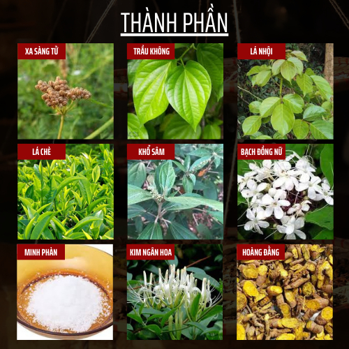 Đông Y Đông Cát Đường - Túi thảo dược ngâm phụ khoa - nấm, ngứa, khí hư, se khít, mùi hôi - 20 gói