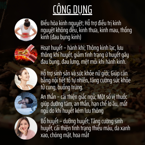 Thảo mộc thiên nhiên - Đông y gia truyền Đông Cát - Hoàn tán bổhuyếtđiềukinh - Túi 500 hoàn
