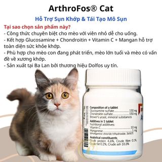 ArthroFos Cat– Viên Bổ Khớp Glucosamine & Chondroitin Cho Chó, Hỗ Trợ Khớp Khỏe Mạnh