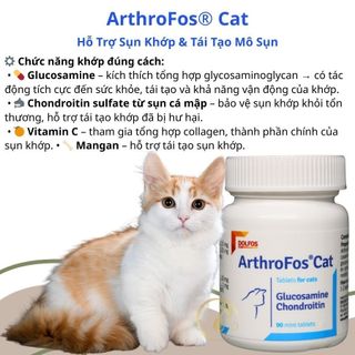 ArthroFos Cat– Viên Bổ Khớp Glucosamine & Chondroitin Cho Chó, Hỗ Trợ Khớp Khỏe Mạnh
