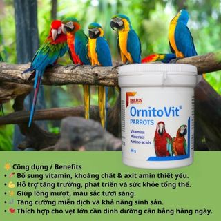 OrnitoVit PARROTS – Vitamin, Khoáng Chất Và Axit Amin Thiết Yếu Cho Vẹt